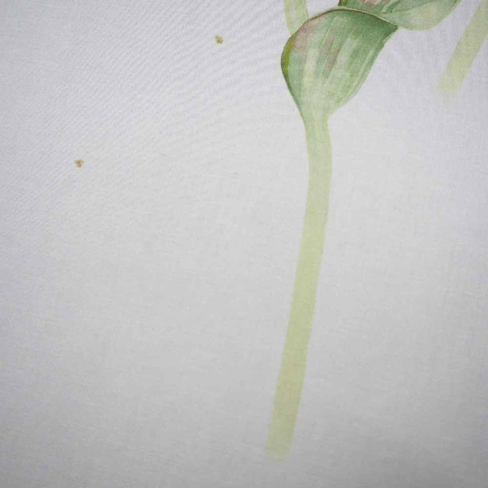 Tulipomania by Sanderson Curtain Fabric. - Clearance Fabric Shop